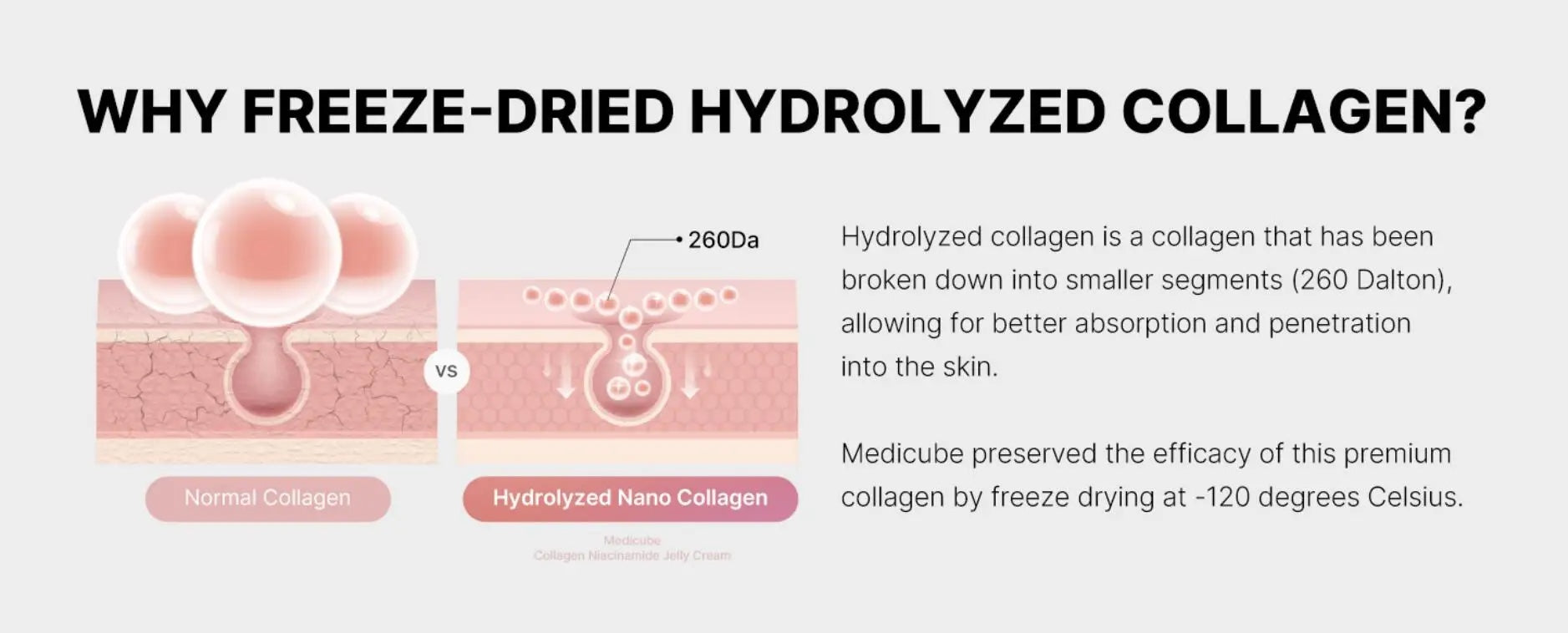 24h Glow & Lifted Collagen Jelly Cream Niacinamide And Hydrolyzed Collagen